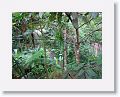 08-StLucia - 022